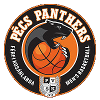 https://img.fskaimeirui.com/img/basketball/team/910780fe6318e85fae4659d07270bc25.png